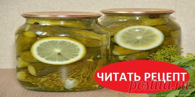 ОЧЕНЬ,ОЧЕНЬ ВКУСНЫЕ ОГУРЧИКИ  