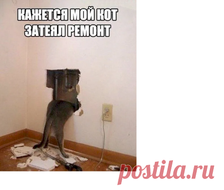 Выпуск №6962 - выпуск анекдотов сайта вокруг смеха