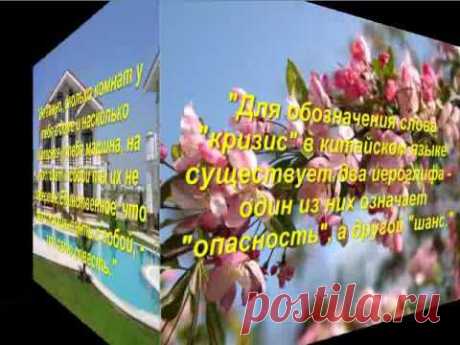 Цитаты, меняющие сознание