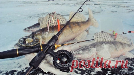 Зимние приманки на судака | GOFISHING CLUB | Яндекс Дзен