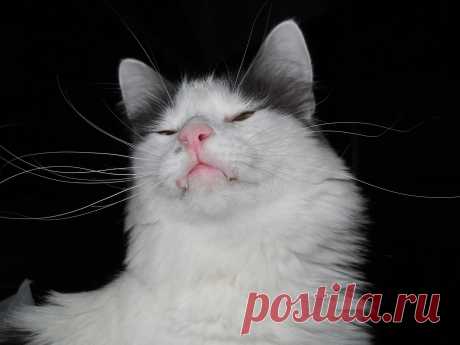 Мир,в котором я живу... - 132 фото. Фотографии Сергей Мартынов.