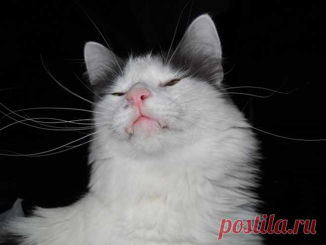 Мир,в котором я живу... - 132 фото. Фотографии Сергей Мартынов.