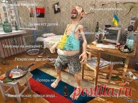 АНТИМАЙДАН И НАС 778 000 - СЛАВА БОГУ ЗА ВСЕ!
Екатерина Харьков