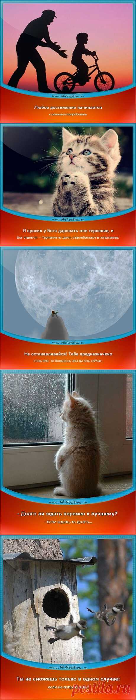 Позитивчики Недели (смотреть фото)