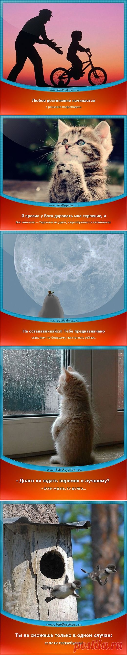 Позитивчики Недели (смотреть фото)