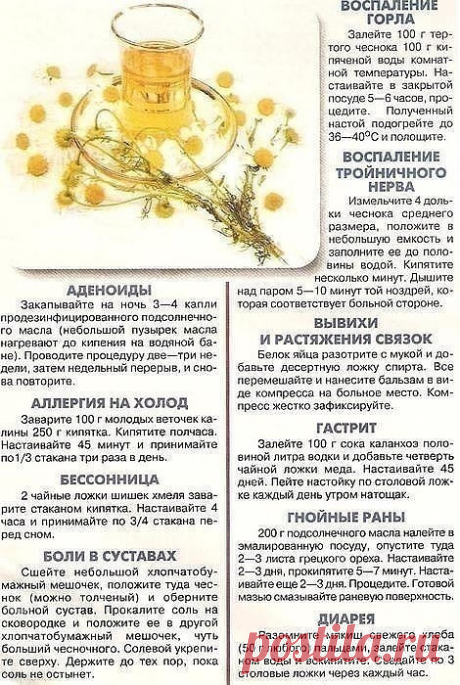 ЭЛИКСИР ЖИЗНИ                                                                
Знаменитый французский врач Катерин до 120 лет оставался молодым,  
энергичным и жизнерадостным. Эликсир жизни - рецепт именно этого врача.
 
По его утверждению, весь секрет долголетия в том, что он три раза в год
— весной, летом и осенью — по две недели пил так называемый эликсир  
жизни. Готовят его так: 400 г овса тщательно промывают, заливают шестью  
литрами кипятка и варят до тех пор, пока ...