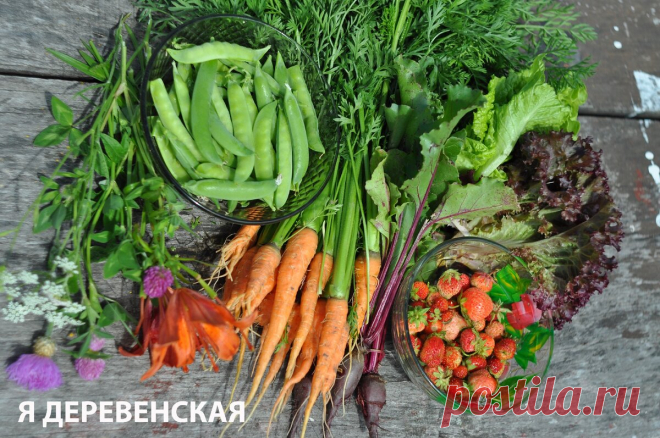 Огород для ленивых! Мой опыт природного земледелия | 6 соток