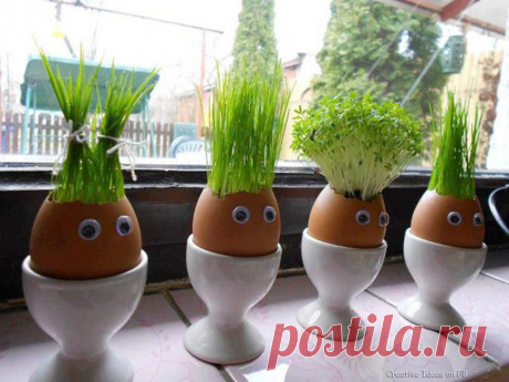 �������� ������ ��� ����!. ���������� �� LiveInternet - ���������� ������ ������-���������