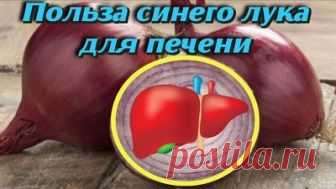 Целебные свойства и ПОЛЬЗА СИНЕГО ЛУКА с сахаром для работы ПЕЧЕНИ Рецепты ЗДОРОВЬЯ и ДОЛГОЛЕТИЯ - 23 Ноября 2018 - Вторая Планета