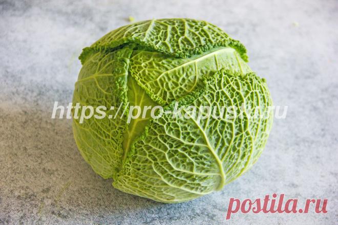 Савойская капуста - что это такое и как ее едят?