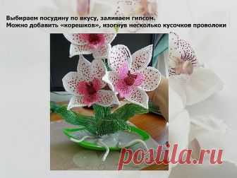 Орхидея. МК