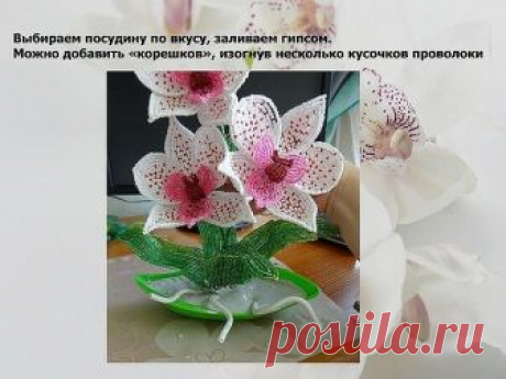 Орхидея. МК