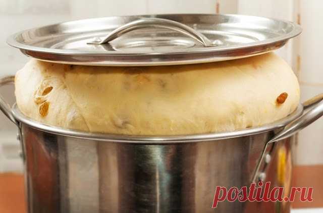 Мастера и умники: 10 рецептов приготовления вкусного теста для домашней выпечки