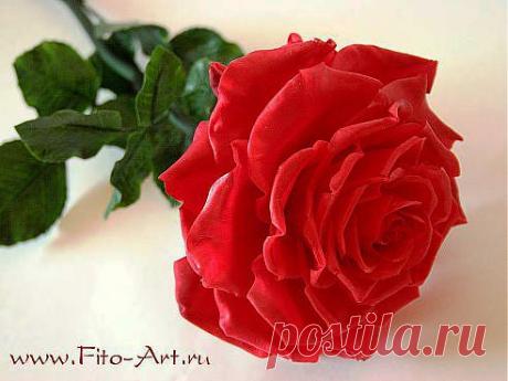 (70) Одноклассники