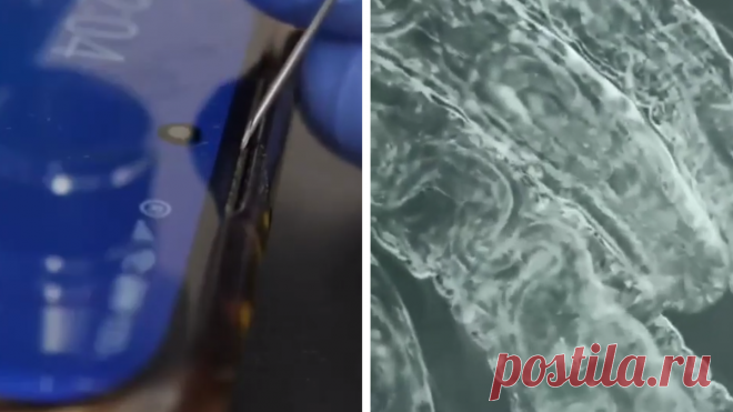 Какая МЕРЗОСТЬ: смартфон рассмотрели под микроскопом (видео) После увиденного вы точно захотите помыть ваш ТЕЛЕФОН с мылом. На кадрах видно, как по поверхности смартфона ползают мерзкие крошечные существа.