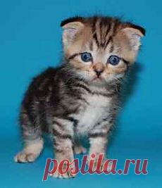 Эти ужасные гости уже ушли?