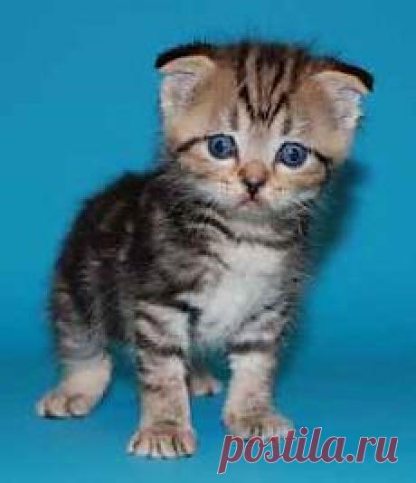 Эти ужасные гости уже ушли?