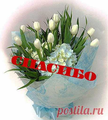 Вишня в собственном соку&quot;.