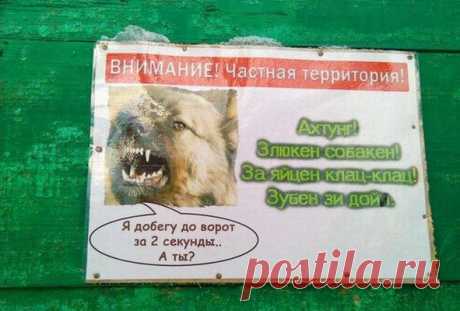 Злюкен собакен!