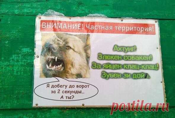 Злюкен собакен!