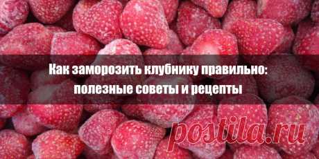 Как заморозить клубнику правильно: полезные советы и рецепты | Полезные советы
