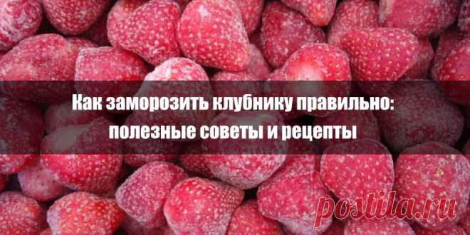 Как заморозить клубнику правильно: полезные советы и рецепты | Полезные советы