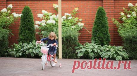 В гостях: Сад на 14 сотках, где живут круглый год | Houzz Россия