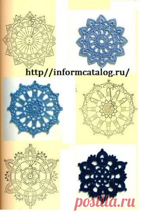 getImage-83.jpg (324×490)