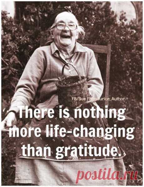 Timeline Photos - Sue Fitzmaurice, Author