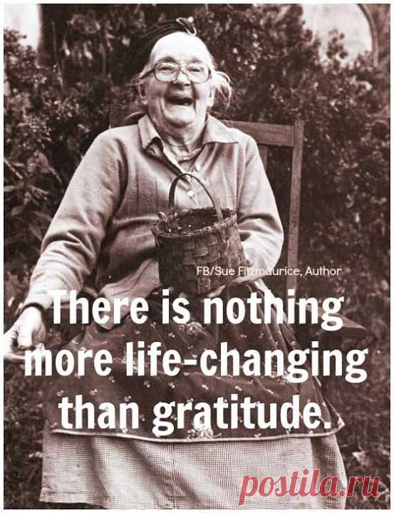 Timeline Photos - Sue Fitzmaurice, Author