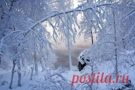 Зимние пейзажи! - Общение для Души - Группы Мой Мир