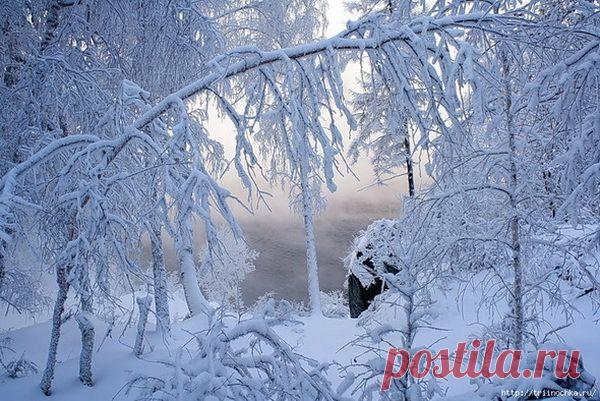 Зимние пейзажи! - Общение для Души - Группы Мой Мир