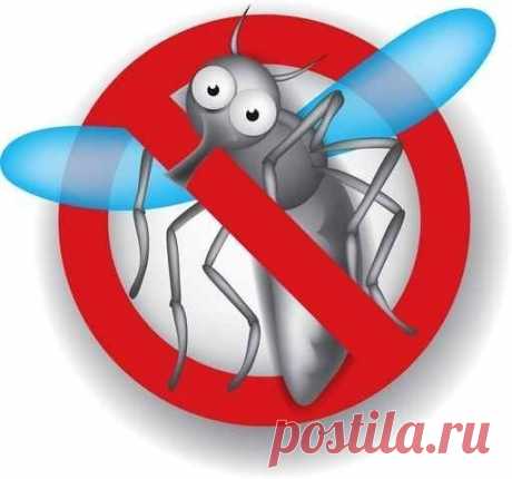 8 УБИЙСТВЕННЫХ АРОМАТОВ ПРОТИВ КОМАРОВ