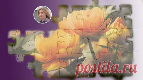 4 типа отношений к партнеру, которые принимают за любовь | Ольга Зимихина | Яндекс Дзен