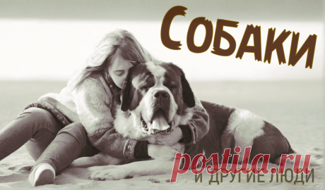 Что важнее: слова или поступки? Истории о тех, кто любит без условий | Книголюбие | Дзен