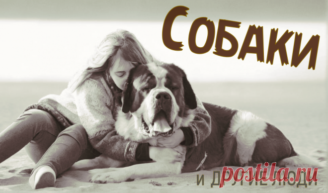 Что важнее: слова или поступки? Истории о тех, кто любит без условий | Книголюбие | Дзен