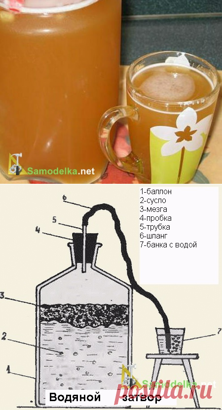 Как сделать медовуху самому