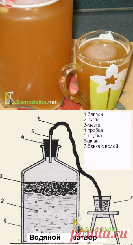 Как сделать медовуху самому