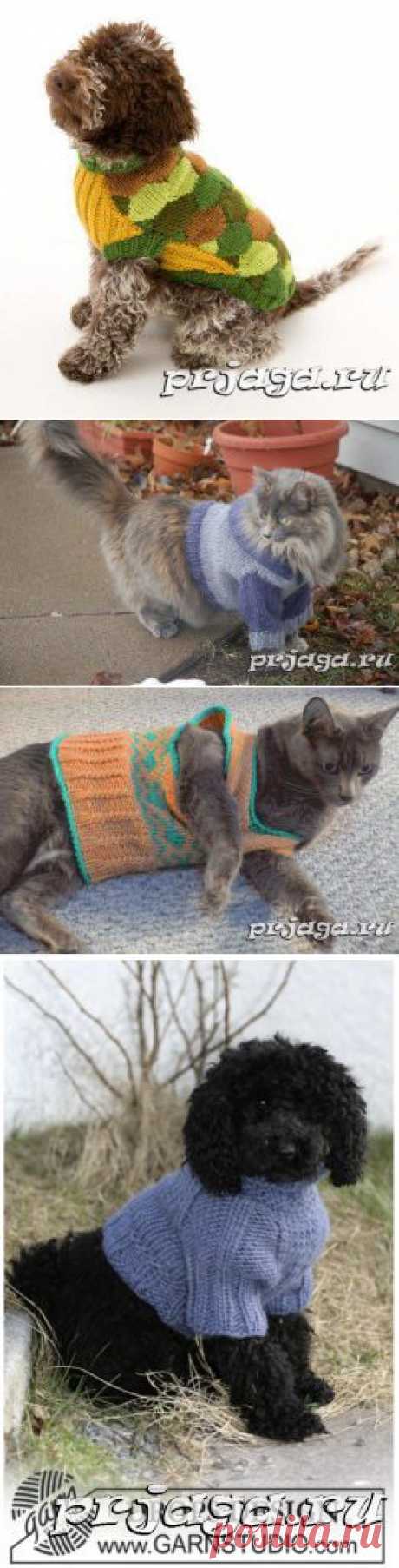 Вязание для собак и кошек