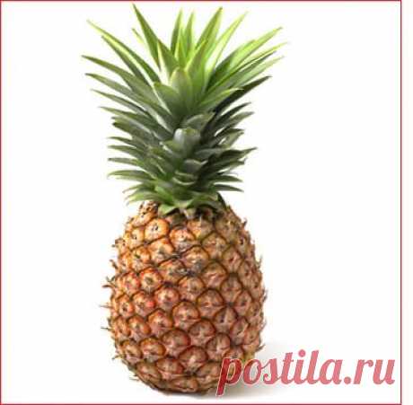 Ананас – полная характеристика, лечебные свойства и приготовление ананаса