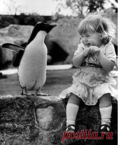 35 гениальных фотографий, наполненных любовью и добротой