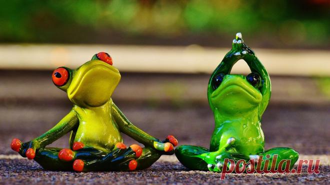 Йога: ликбез для начинающих - новости на Здоровье Mail.Ru