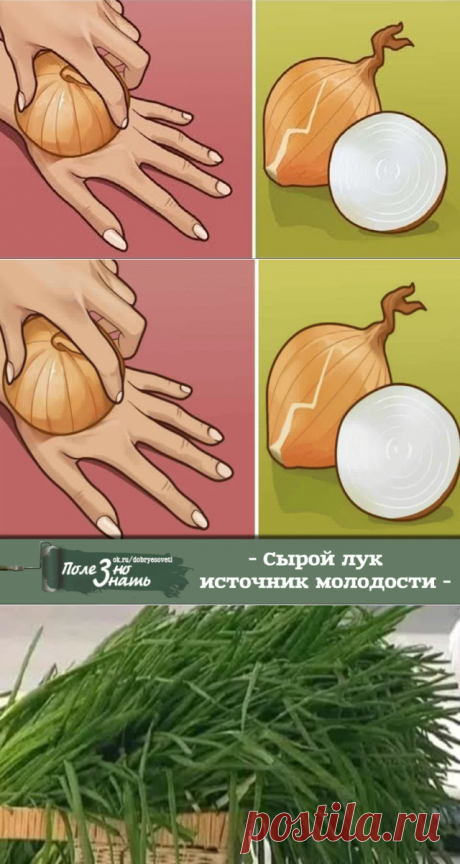 (29) Одноклассники