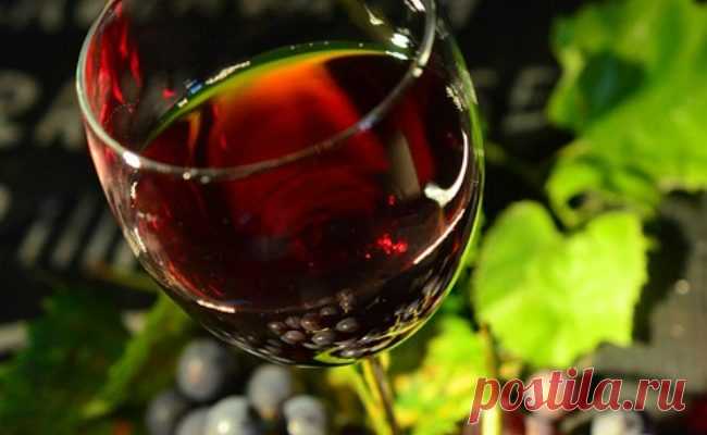 Рецепт виноградного вина «Карпати» - Україна Онлайн