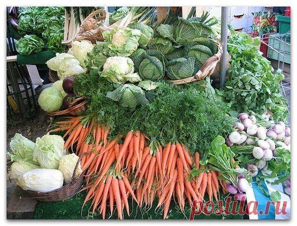 Маленькие хитрости опытного садовода

1. Йод для капусты
В ведро воды добавить 40 капель йода. Когда начнет формироваться кочан, поливать капусту под растение по 1 литру.

2. Ускорение пророста
Чтобы семена быстрее проросли их замачивают в растворе перекиси водорода (4%) на 12 часов (капуста), а семена помидоров и свеклы - на 24 часа. Для обеззараживания семян (вместо марганцовки) их обрабатывают 10% перекисью водорода 20 минут. Соотношение раствора и семян 1:1. Затем семе...