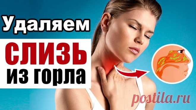 Домашние средства для удаления слизи и мокроты

Слизь имеет необходимую роль в теле, смазывая нос, рот, горло, легкие, и кишечно-желудочный тракт и служит фильтром для потенциально вредных элементов.
Слизь также содержит энзимы и антитела, которые устраняют вредные бактерии и вирусы. Народная медицина — рецепты, советы, способы, cекреты и народные средства.