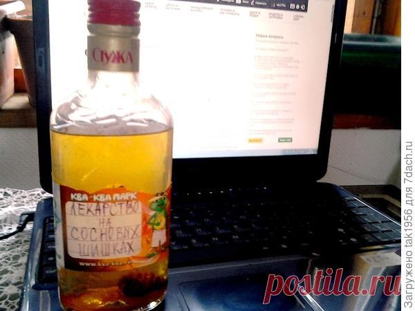 Настойка на сосновых шишках лечит сосуды. Рецепт. Полезные свойства