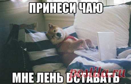 Одноклассники