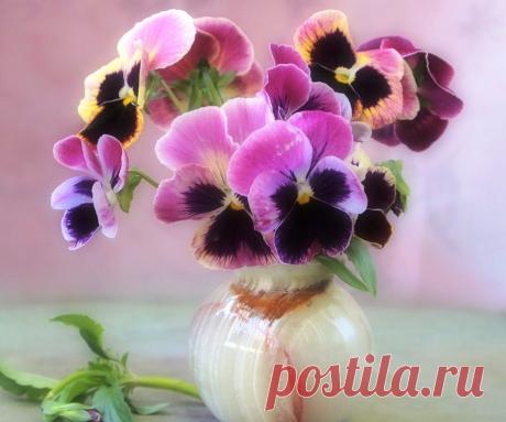 НЕЖНЫЙ БУКЕТ