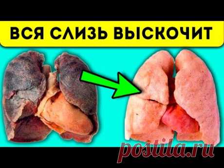 Как избавиться от кашля за 1 день!? Самые лучшие народные средства и рецепты от кашля